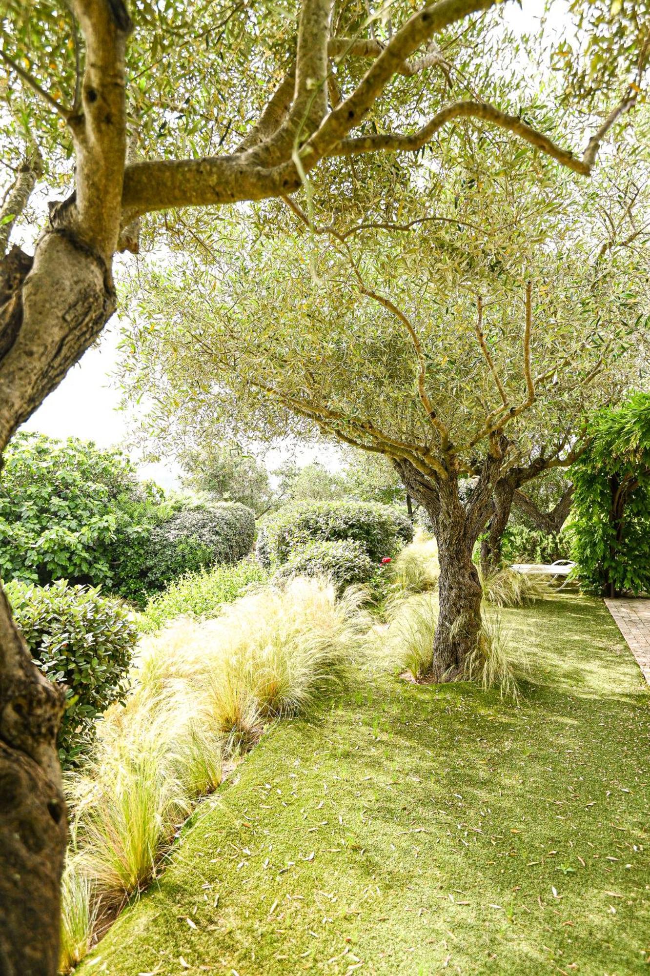 De L'oumède * Ramatuelle